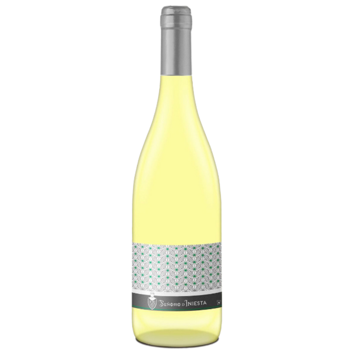 Sauvignon Blanc 2024